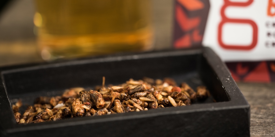 Sainsbury’s first UK supermarket to stock insect products