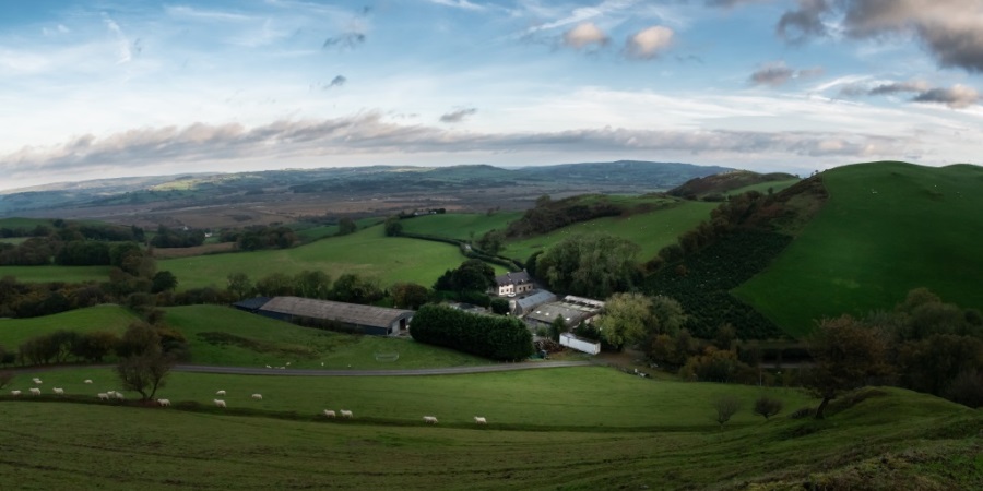 Reaction to IPCC climate land and food report