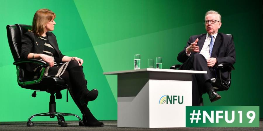 Food tariffs on the agenda for imports – Gove