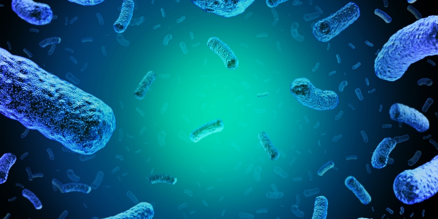 FSA investigation on listeria continues