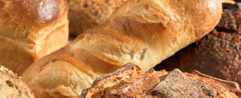 Coughlans Bakery seeks new investor
