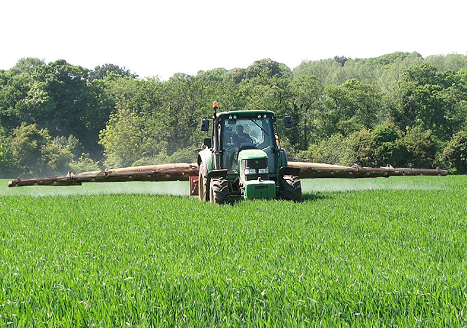 UK may face ‘watered-down’ food regulations after Brexit warns UK Trade Policy Observatory