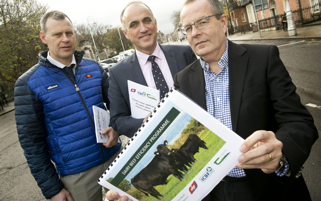 Research shows significant dairy beef carbon reduction potential