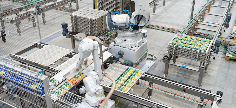 Growing rice market sees FEI Foods invest in high-speed pouch line