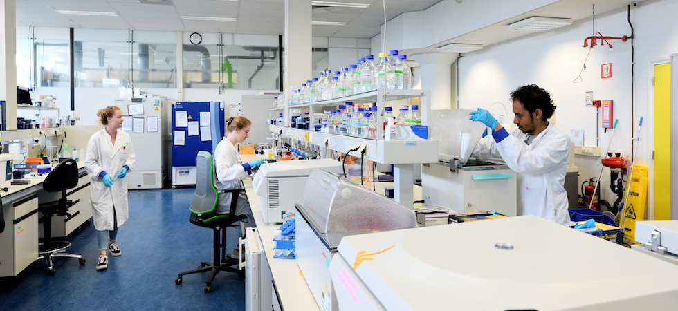 TU/e and Marel partner up in new AI lab