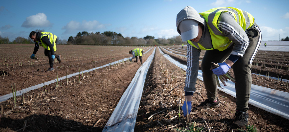 Pandemic increases labour costs by 15%